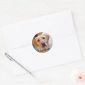 Yellow Lab Sticker (Envelop)