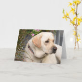 Yellow Lab-Wenskaart Kaart (Gele Bloem)