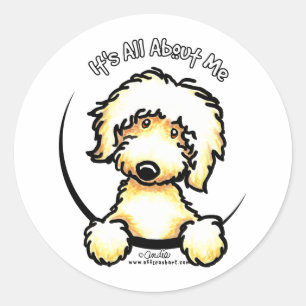 Yellow Labradoodle IAAM Ronde Sticker