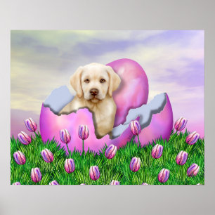 Yellow Labrador Easter Surprise Poster