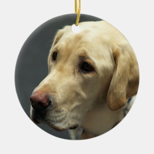 Yellow Labrador Ornament (Voorkant)