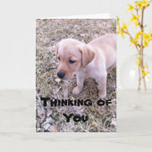 Yellow Labrador pense à votre carte (Fleur jaune)