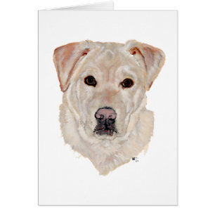 Yellow Labrador Retriever