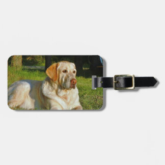 Yellow Labrador Retriever Bagagelabel