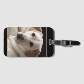 Yellow Labrador Retriever Bagagelabel (Voorkant (horizontaal))
