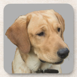 Yellow Labrador Retriever Bier Onderzetter