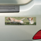 Yellow Labrador Retriever collage Bumpersticker (Op auto)