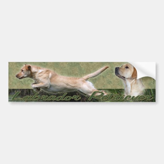 Yellow Labrador Retriever collage Bumpersticker (Voorkant)