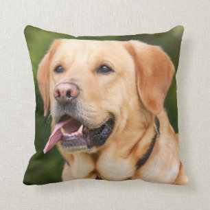 Yellow Labrador Retriever Dog - Lab Kussen