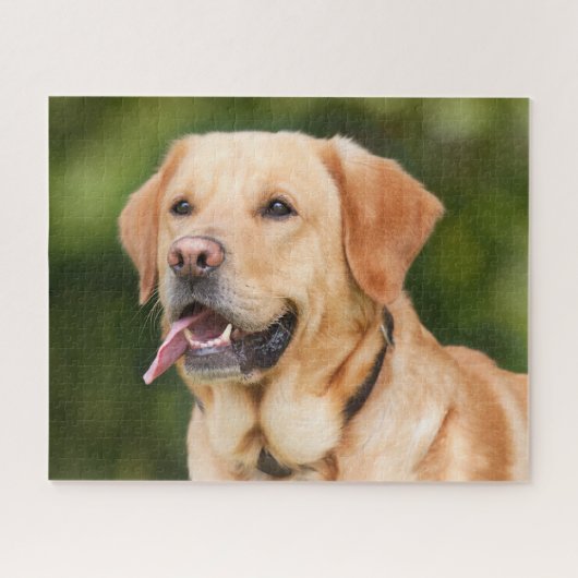 Yellow Labrador Retriever Dog - Lab Legpuzzel (Horizontaal)
