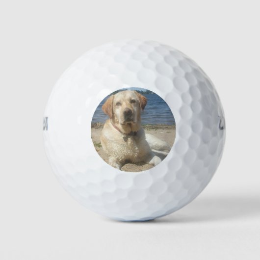 Yellow Labrador Retriever Golfballen (Voorkant)