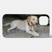 Yellow Labrador Retriever iPhone 8 Coque (Verso (horizontal))