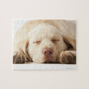Yellow Labrador Retriever Legpuzzel