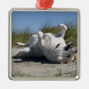 Yellow Labrador Retriever Metalen Ornament