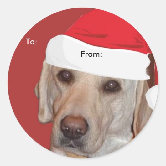 Yellow Labrador Retriever naar/van Xmas stickers (Voorkant)