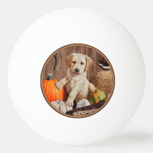 Yellow Labrador Retriever Puppy Dog Pumpkin Autumn Pingpongballen