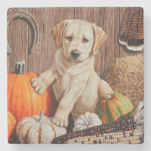 Yellow Labrador Retriever Puppy Dog Pumpkin Autumn Stenen Onderzetter