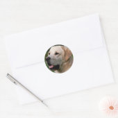Yellow Labrador Retriever Puppy Dog Sticker / zeeh (Envelop)
