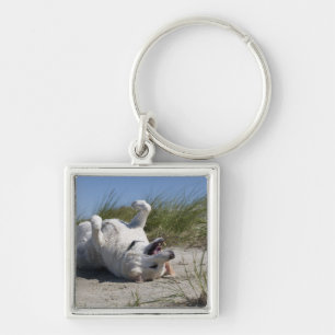 Yellow Labrador Retriever Sleutelhanger
