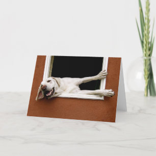 Yellow Labrador Wenskaart Kaart