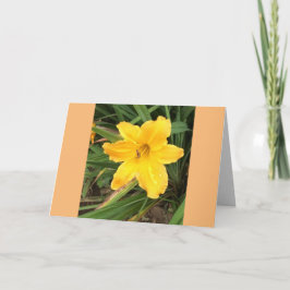 Yellow Lilly Kaart