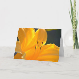 Yellow Lily Blank Wenskaart Kaart