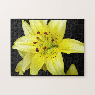 Yellow Lily Close-up Legpuzzel