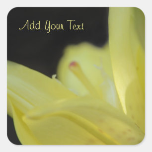 Yellow Lily door Shirley Taylor Vierkante Sticker