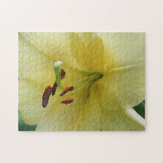 Yellow Lily gaat dicht Legpuzzel (Horizontaal)