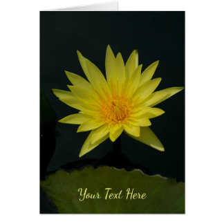 Yellow Lotus Waterlily