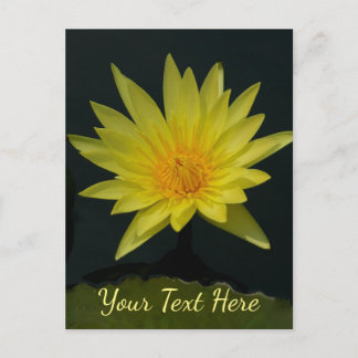 Yellow Lotus Waterlily Briefkaart