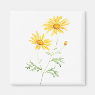 Yellow Margaret daisy waterverf Magneet