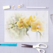 Yellow Moth Orchid in Sunshine Tissuepapier (Craft)
