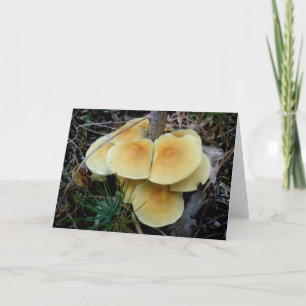 Yellow Mushroom Colony OBX Note Card Feestdagen Kaart