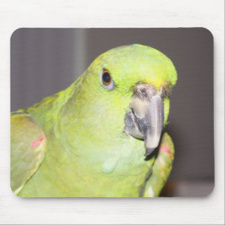 Yellow-Naped Amazon Parrot Mousepad Muismat