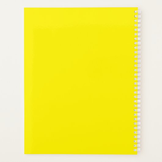 Yellow Orb Weaver Spider School (Dos)