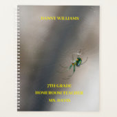 Yellow Orb Weaver Spider School (Devant)