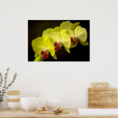 Yellow Orchid - Poster (Keuken)