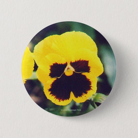 Yellow Pansy Ronde Button 5,7 Cm (Voorkant)