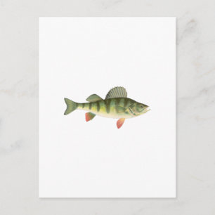 Yellow Perch Art Briefkaart