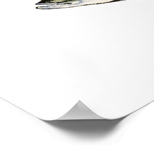 Yellow Perch School Poster (Hoek)