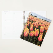 Yellow & Pink Tulip Field, Oregon (Devant avec enveloppe)