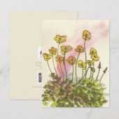 Yellow Poppies Wildflowers Greetings Card (Voorkant / Achterkant)
