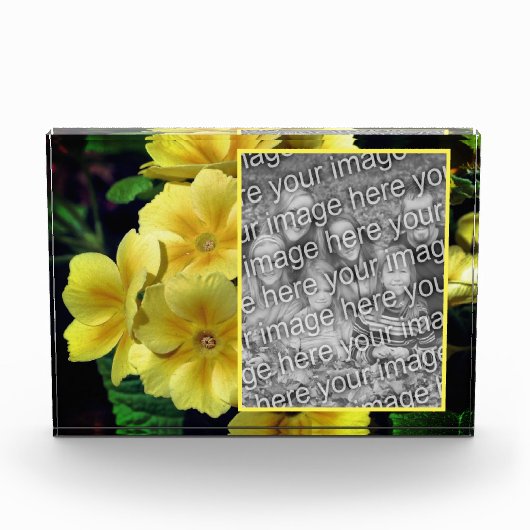 Yellow Primrose Flowers Creëer Uw Eigen Fotoblokken (Voorkant)