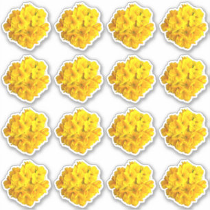 Yellow Primrose Flowers Pattern Sticker