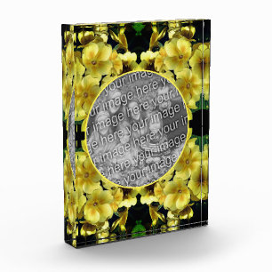 Yellow Primrose Spring Flowers Voeg je Fotoblokken
