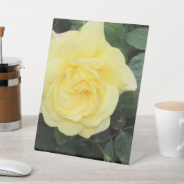 Yellow Roos Reclamebord Met Voetstuk