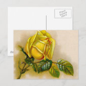 Yellow Rose Antiek Print Fine Art Briefkaart (Voorkant / Achterkant)