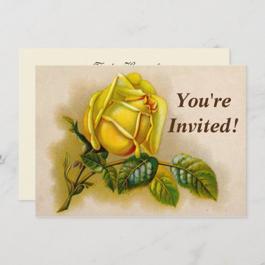 Yellow Rose Antiek  Print Fine Art Kaart (Voorkant / Achterkant)