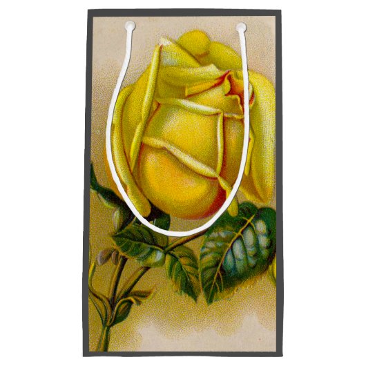 Yellow Rose Antiek  Print Fine Art Klein Cadeauzakje (Voorkant)